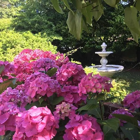 Bonheur And Company *